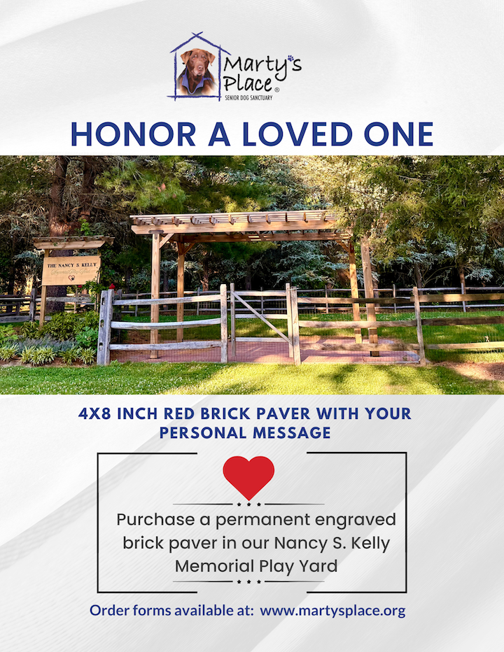 Brick paver flyer 8.5 x 11